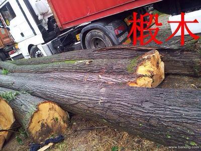 自营与代理 进出口贸易的双重优势与实务要点