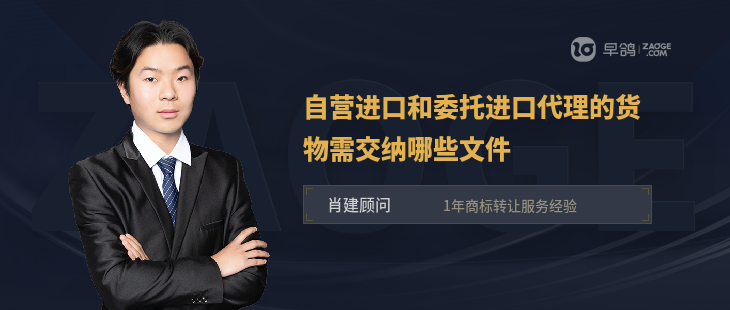 自营进口与委托进口代理货物所需文件详解